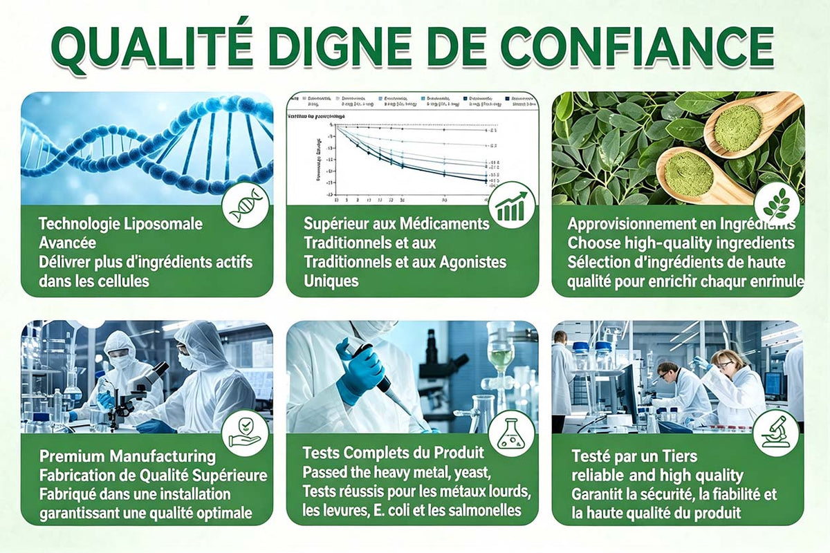 🇫🇷 Healrize® 🍀🌿 Patch nano-microaiguilles 10-en-1 Moringa · Berbérine · NAD+ | 1× par jour