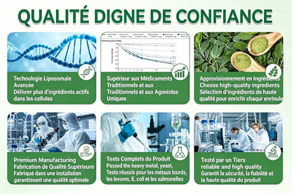 🇫🇷 Healrize® 🍀🌿 Patch nano-microaiguilles 10-en-1 Moringa · Berbérine · NAD+ | 1× par jour