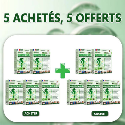 🇫🇷 Healrize® 🍀🌿 Patch nano-microaiguilles 10-en-1 Moringa · Berbérine · NAD+ | 1× par jour