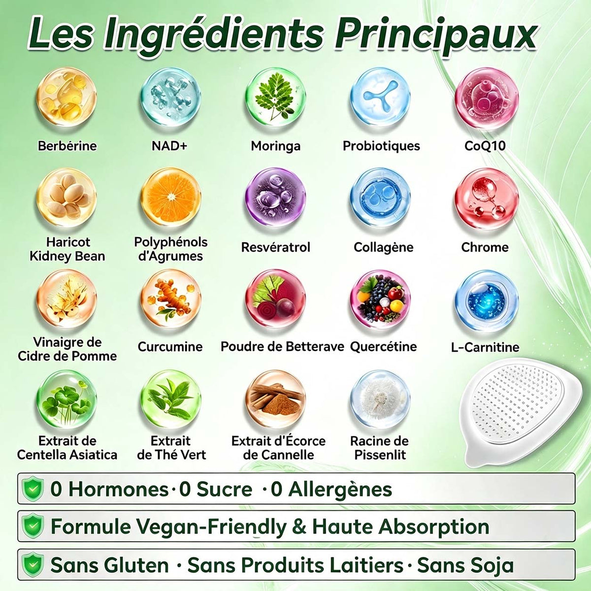 🇫🇷 Healrize® 🍀🌿 Patch nano-microaiguilles 10-en-1 Moringa · Berbérine · NAD+ | 1× par jour