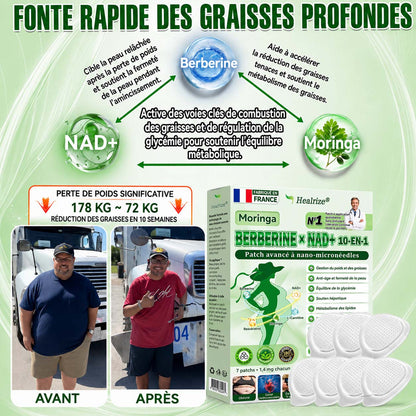 🇫🇷 Healrize® 🍀🌿 Patch nano-microaiguilles 10-en-1 Moringa · Berbérine · NAD+ | 1× par jour