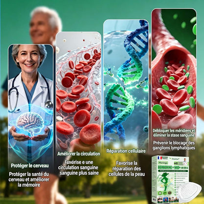 🇫🇷 Healrize® 🍀🌿 Patch nano-microaiguilles 10-en-1 Moringa · Berbérine · NAD+ | 1× par jour
