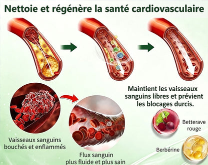 🇫🇷 Healrize® 🍀🌿 Patch nano-microaiguilles 10-en-1 Moringa · Berbérine · NAD+ | 1× par jour