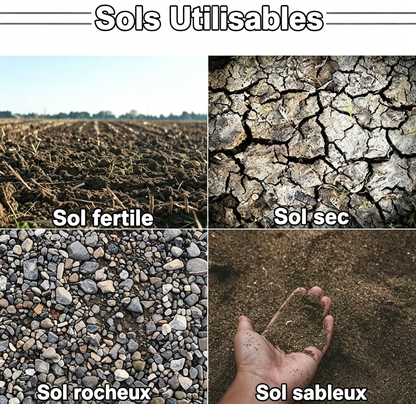 🌞 REBYIPO® Accueillez le printemps avec -50% de réduction ! Tarière hélicoïdale pour perceuse – Plantation rapide et sans effort de bulbes et de semis
